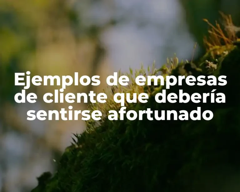 Ejemplos de empresas de cliente que debería sentirse afortunado