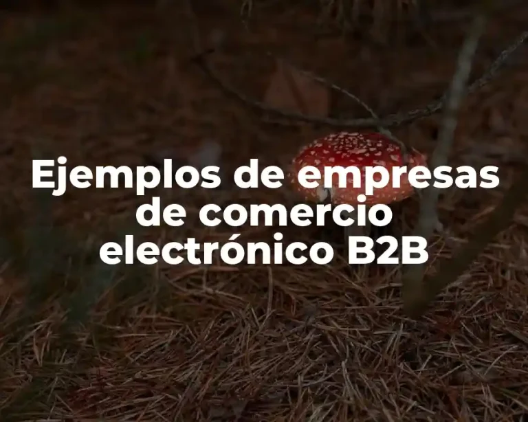 Ejemplos de empresas de comercio electrónico B2B
