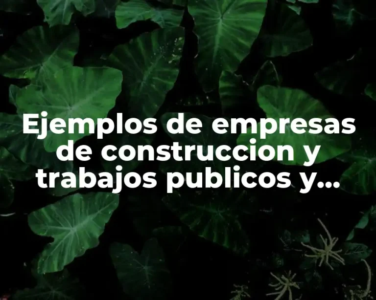 Ejemplos de empresas de construccion y trabajos publicos y privados y Significado