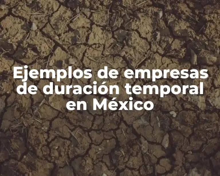 Ejemplos de empresas de duración temporal en México