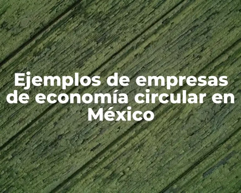 Ejemplos de empresas de economía circular en México
