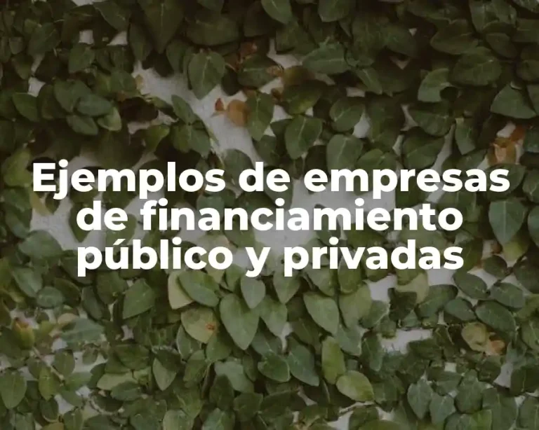 Ejemplos de empresas de financiamiento público y privadas