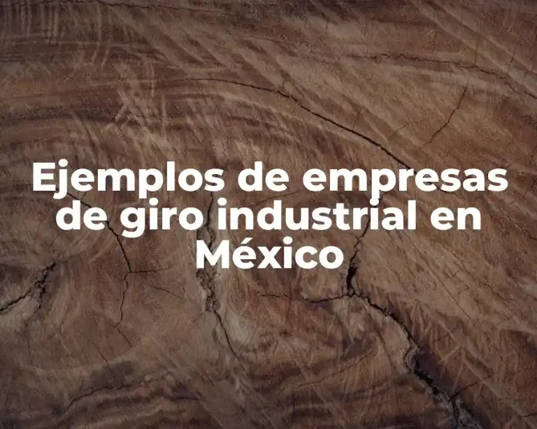 Ejemplos de empresas de giro industrial en México