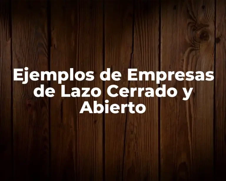 Ejemplos de Empresas de Lazo Cerrado y Abierto