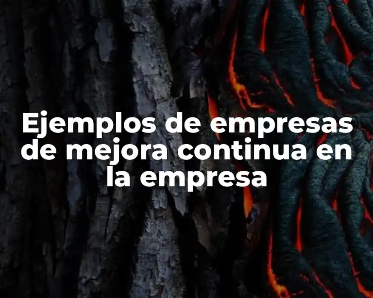 Ejemplos de empresas de mejora continua en la empresa