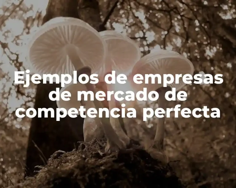 Ejemplos de empresas de mercado de competencia perfecta