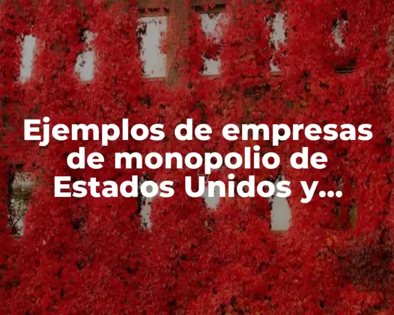 Ejemplos de empresas de monopolio de Estados Unidos y Significado
