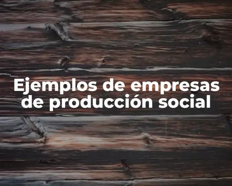 Ejemplos de empresas de producción social