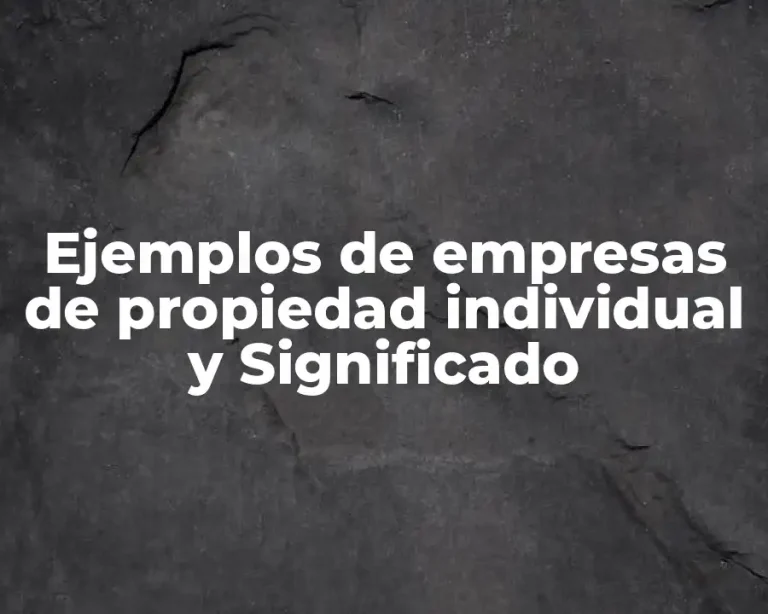 Ejemplos de empresas de propiedad individual y Significado