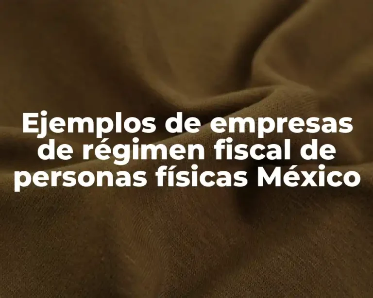 Ejemplos de empresas de régimen fiscal de personas físicas México