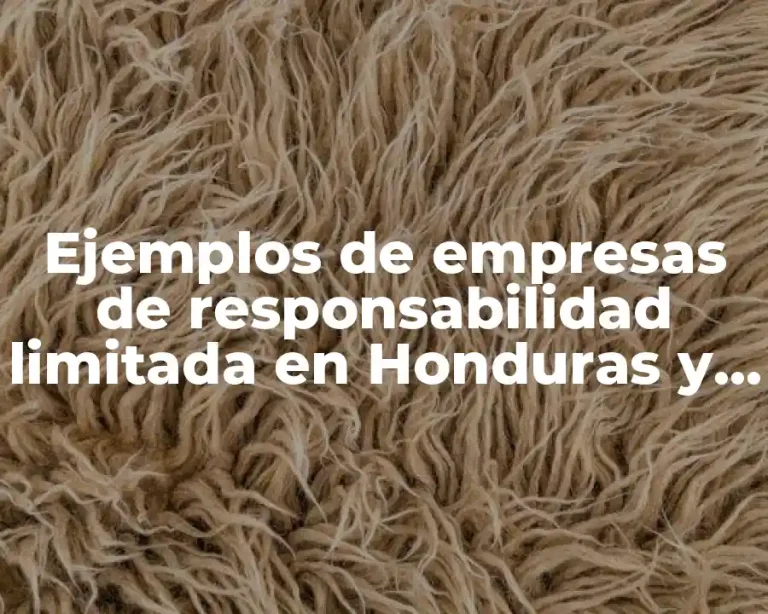Ejemplos de empresas de responsabilidad limitada en Honduras y Significado