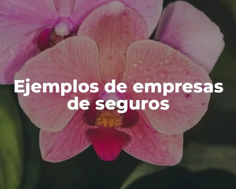 Ejemplos de empresas de seguros