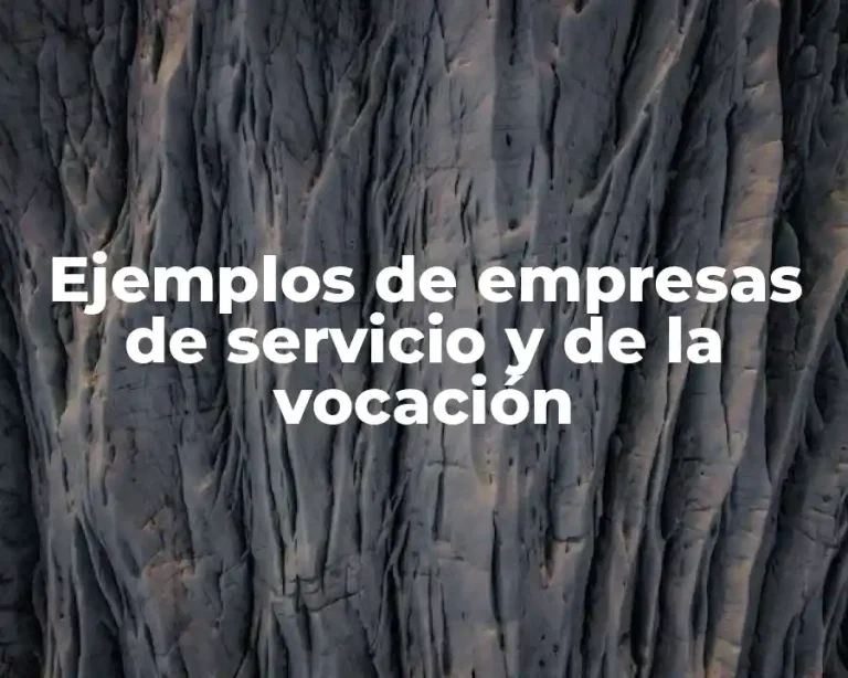 Ejemplos de empresas de servicio y de la vocación