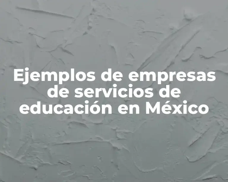 Ejemplos de empresas de servicios de educación en México