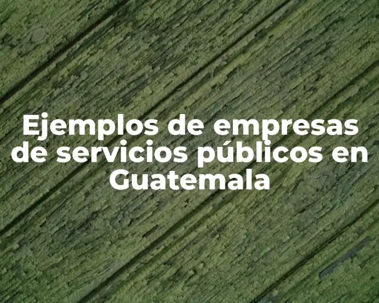 Ejemplos de empresas de servicios públicos en Guatemala