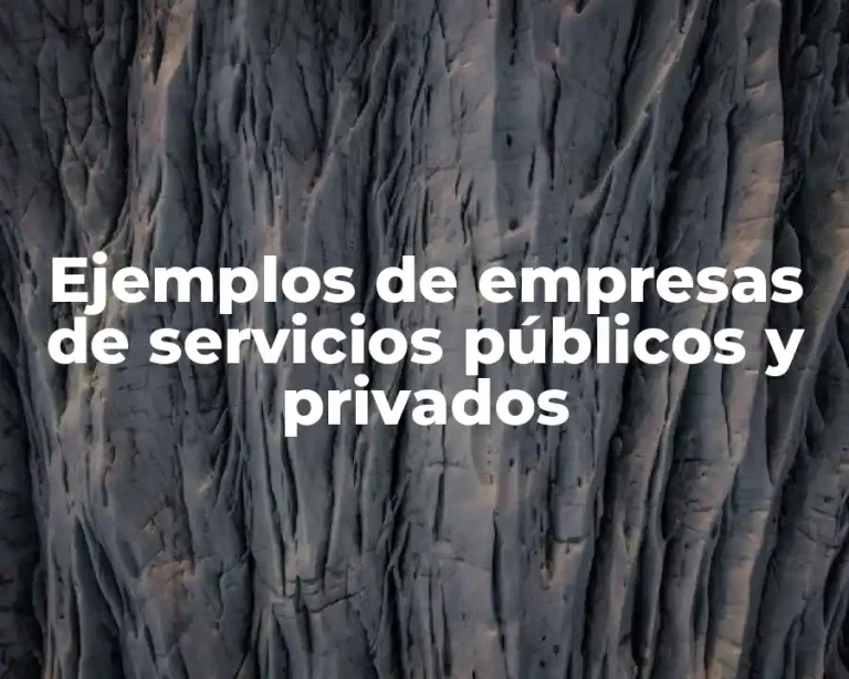 Ejemplos de empresas de servicios públicos y privados