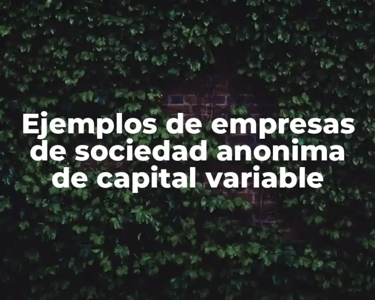 Ejemplos de empresas de sociedad anonima de capital variable