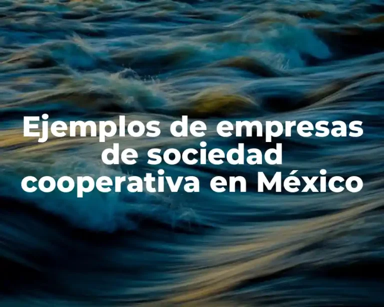 Ejemplos de empresas de sociedad cooperativa en México