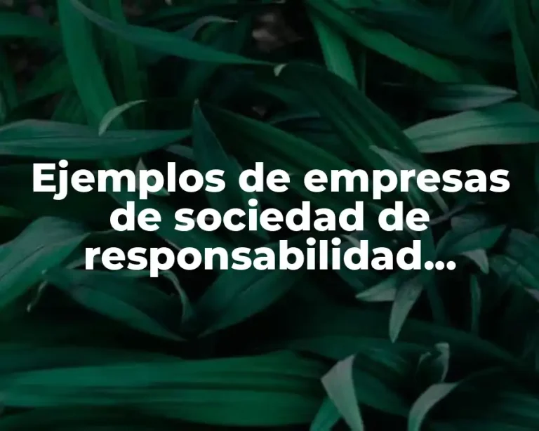 Ejemplos de empresas de sociedad de responsabilidad limitada en Bolivia