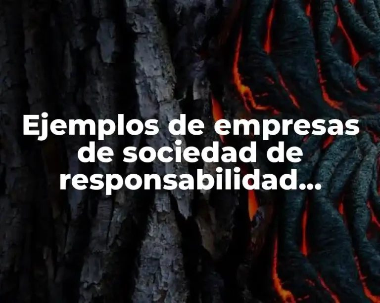 Ejemplos de empresas de sociedad de responsabilidad limitada en Colombia y Significado