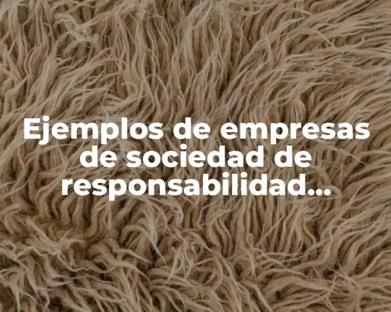 Ejemplos de empresas de sociedad de responsabilidad limitada en Guatemala