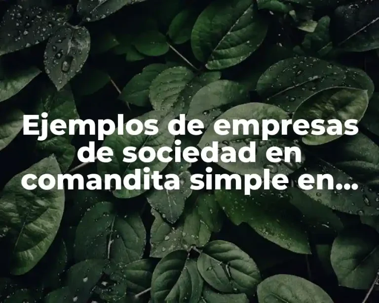Ejemplos de empresas de sociedad en comandita simple en Guatemala