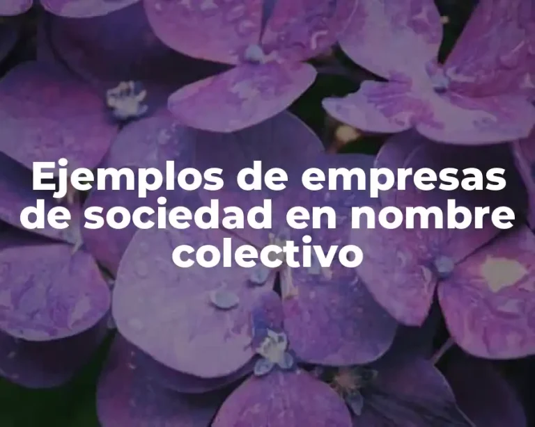 Ejemplos de empresas de sociedad en nombre colectivo