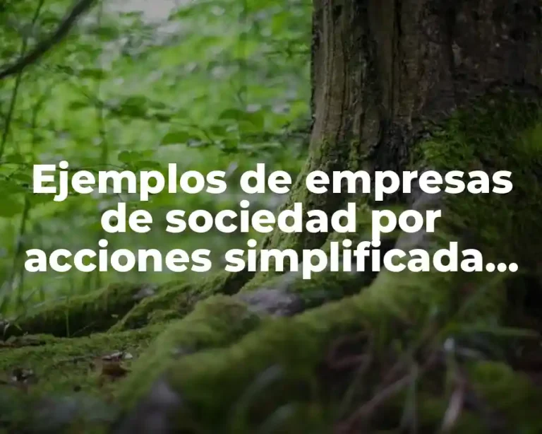 Ejemplos de empresas de sociedad por acciones simplificada en México