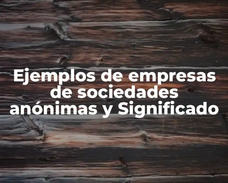 Ejemplos de empresas de sociedades anónimas y Significado