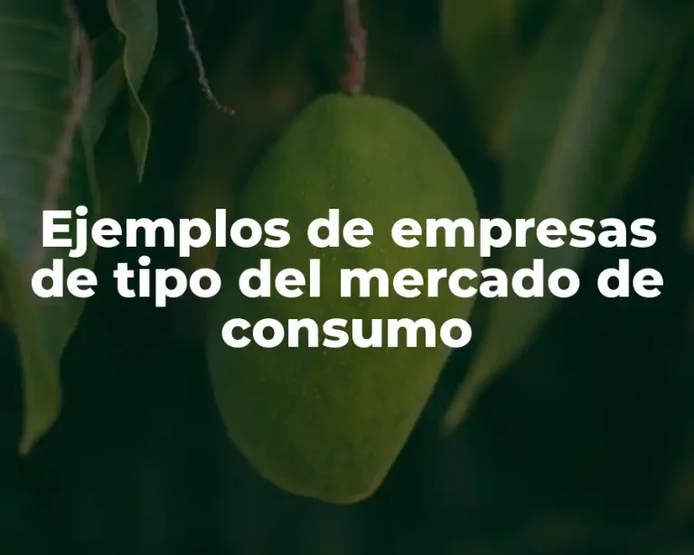 Ejemplos de empresas de tipo del mercado de consumo