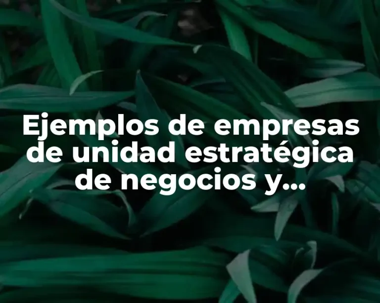 Ejemplos de empresas de unidad estratégica de negocios y Significado