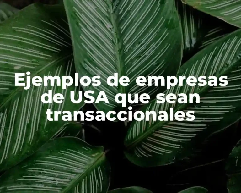 Ejemplos de empresas de USA que sean transaccionales