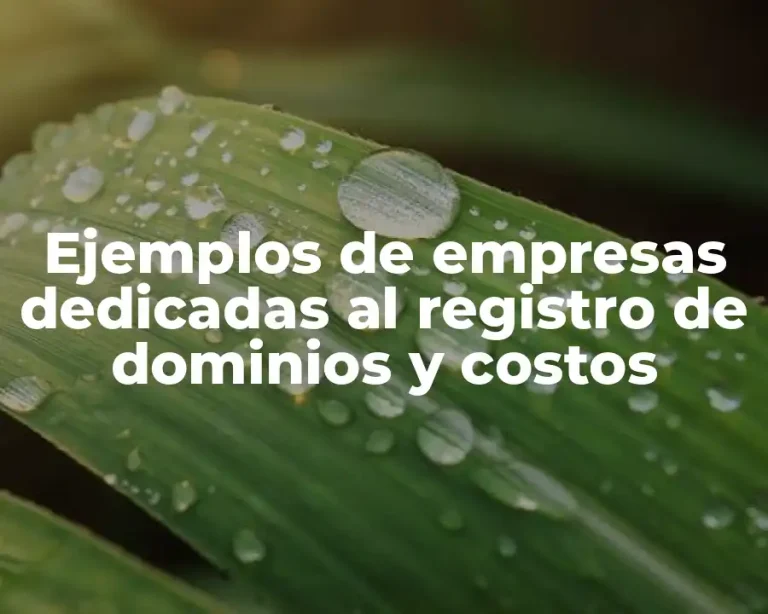 Ejemplos de empresas dedicadas al registro de dominios y costos