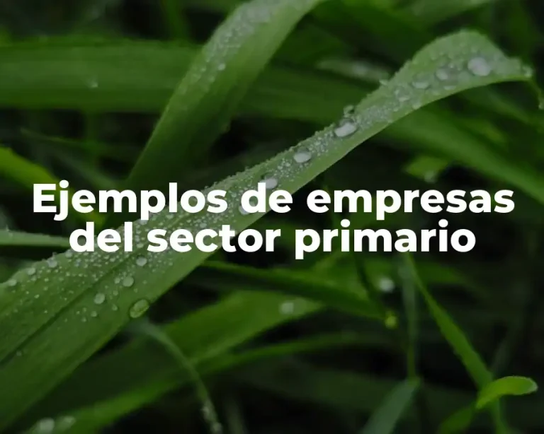 Ejemplos de empresas del sector primario