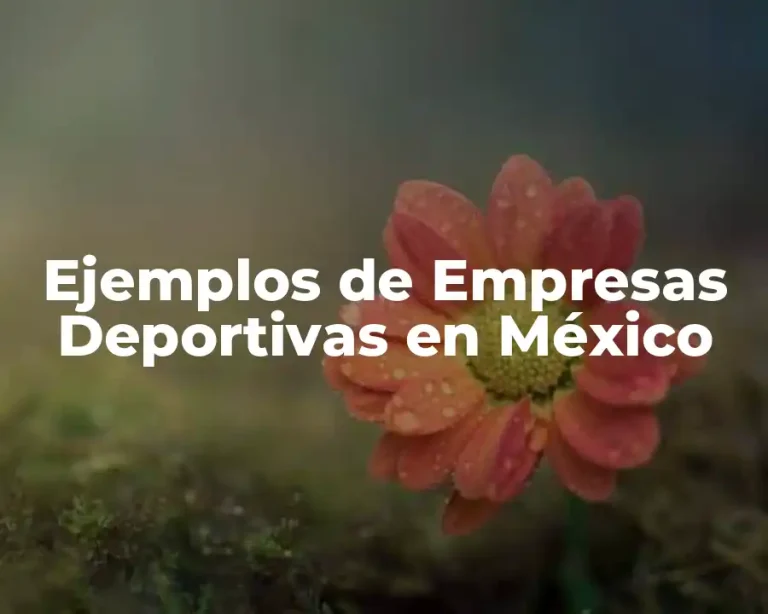 Ejemplos de Empresas Deportivas en México