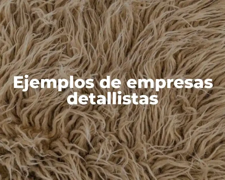 Ejemplos de empresas detallistas