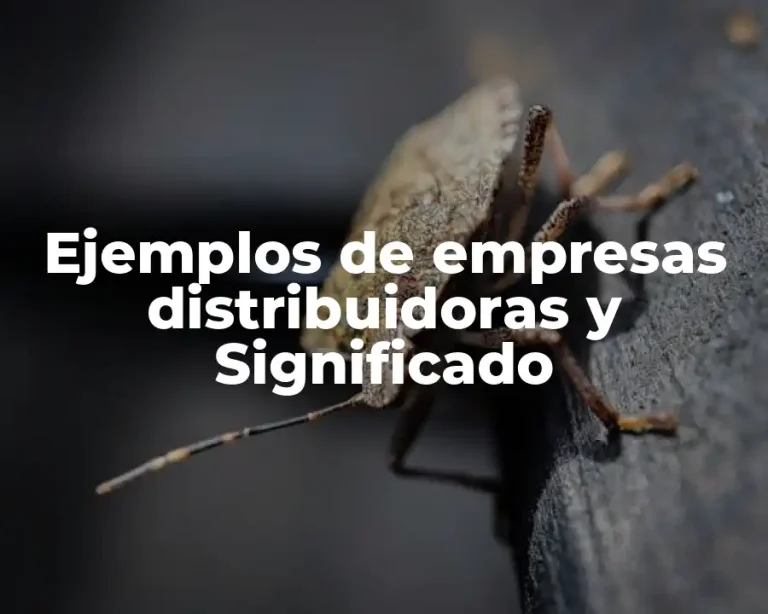Ejemplos de empresas distribuidoras y Significado