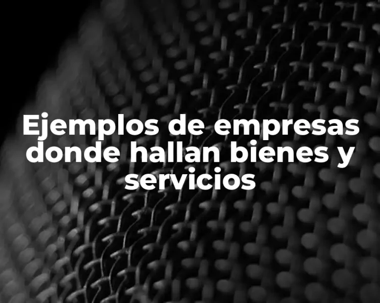 Ejemplos de empresas donde hallan bienes y servicios
