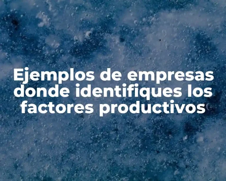 Ejemplos de empresas donde identifiques los factores productivos