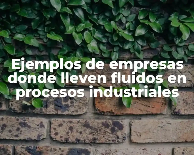 Ejemplos de empresas donde lleven fluidos en procesos industriales