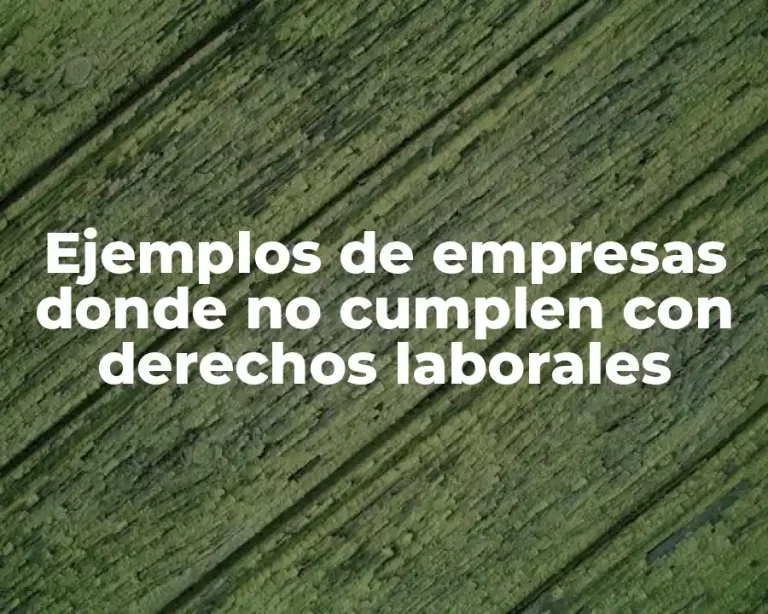Ejemplos de empresas donde no cumplen con derechos laborales