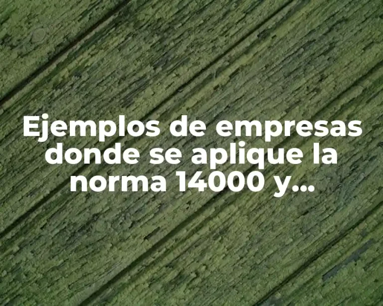 Ejemplos de empresas donde se aplique la norma 14000 y Significado