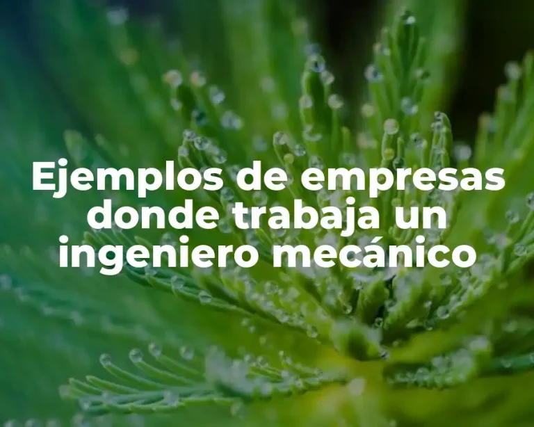 Ejemplos de empresas donde trabaja un ingeniero mecánico