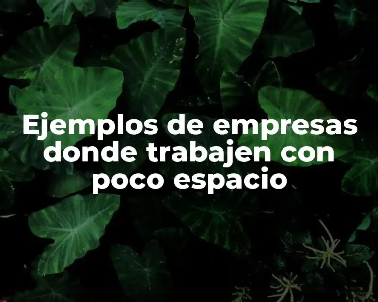 Ejemplos de empresas donde trabajen con poco espacio