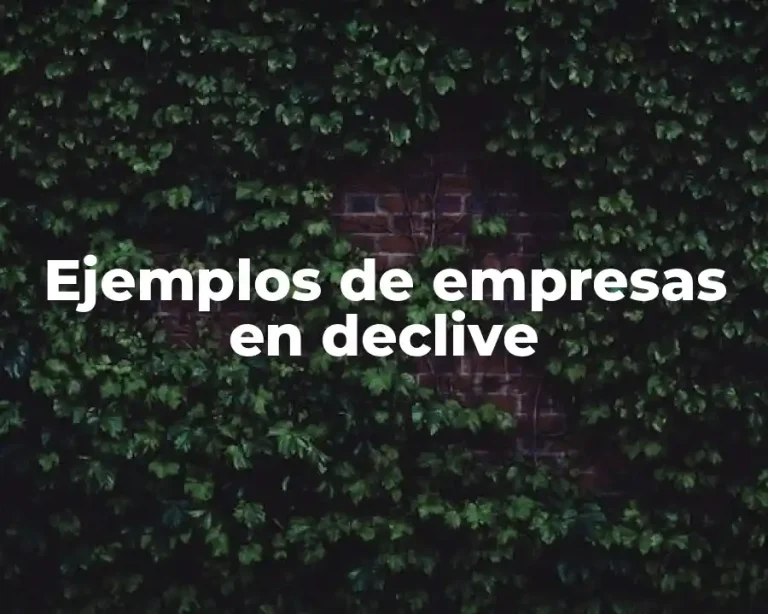 Ejemplos de empresas en declive