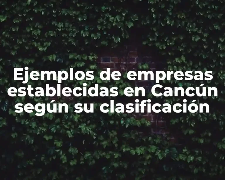 Ejemplos de empresas establecidas en Cancún según su clasificación