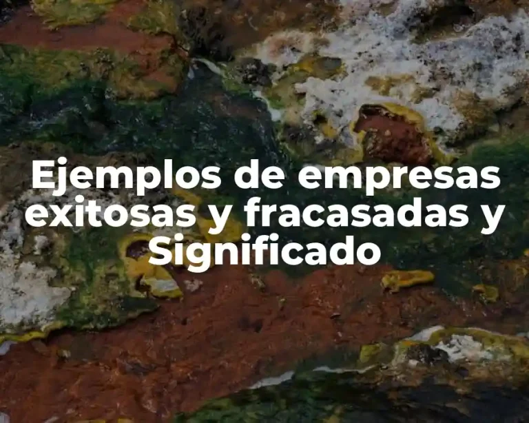 Ejemplos de empresas exitosas y fracasadas y Significado
