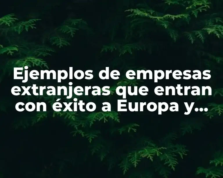Ejemplos de empresas extranjeras que entran con éxito a Europa y Significado