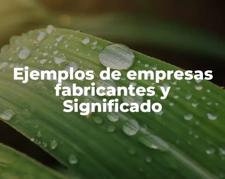 Ejemplos de empresas fabricantes y Significado