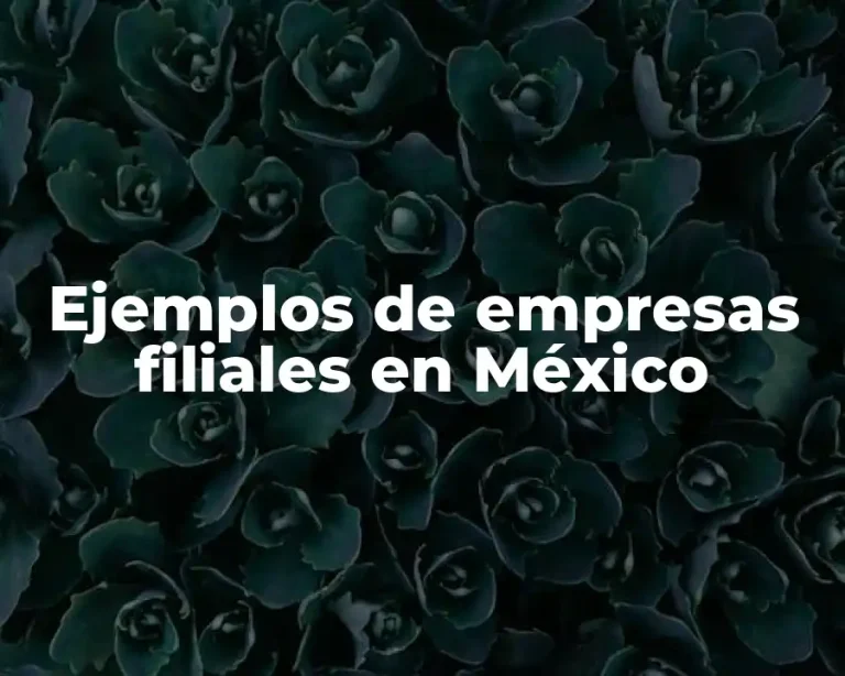 Ejemplos de empresas filiales en México
